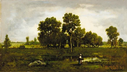 Fagotier Near the Viper Pond