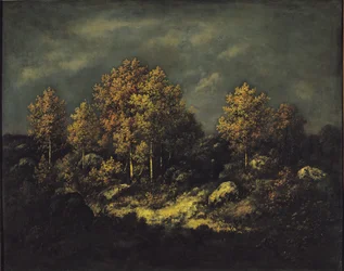 The Jean de Paris Heights in the Forest of Fontainebleau