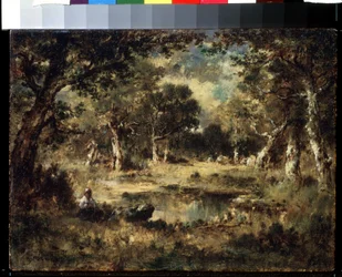 Forest Swamp
