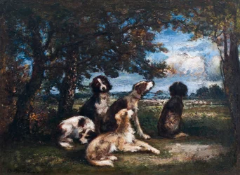 Dogs in the Fontainebleau Forest