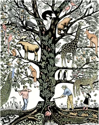 6th Mass Extinction