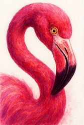 Elegant Pink Flamingo