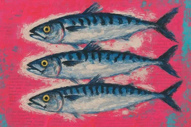 Vibrant Mackerel Trio