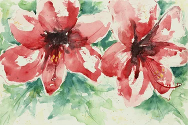 Vibrant Red Flowers