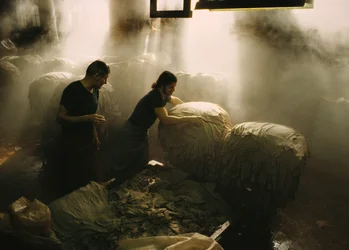 Workmen sorting animal hides being processed at an old tannery in Salem, Massachusetts