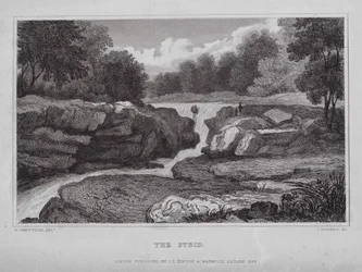 The Strid