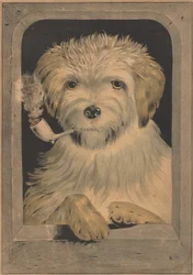 All Right!, 1835-56