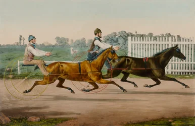 Flora Temple and Highland Maid