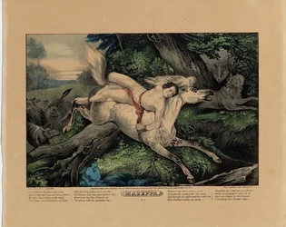 Mazeppa (plate two of four)