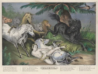 Mazeppa: Plate 3 of set of Four Plates (Surrounded by Wild Horses)