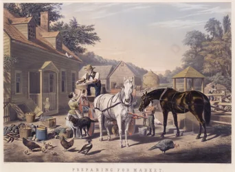 Preparing for Market