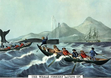 Whale Hunting Scene in the North of the United States