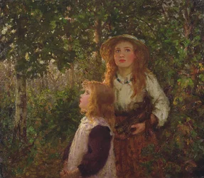 In the Forest