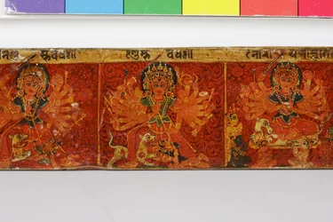 Detail (Devimahatmya manuscript cover)