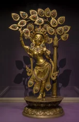Unknown Image