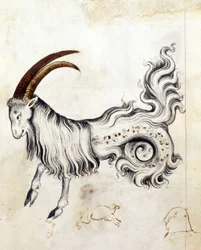 The zodiac sign Capricorn