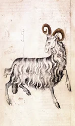 The Zodiac Sign Capricorn