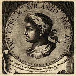 Unknown Image
