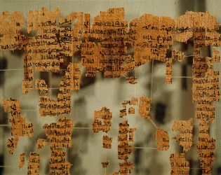Fragments of the Papyrus of the King