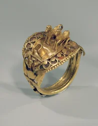 Horse ring