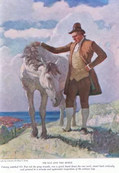 Sir Nat and the horse: Johnny watched Sir Nat rub the grey muzzle; stand back and proceed to a minute and systematic inspection