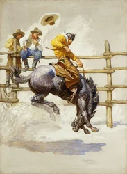 The Bucking Bronco