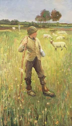 A Young Shepherd