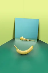 Dysmorphophobia