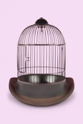 Mental Cage, 2020