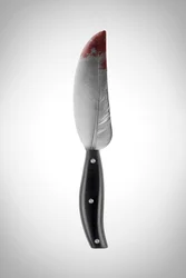 The Feather