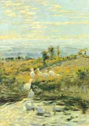 Ducks in the Morning