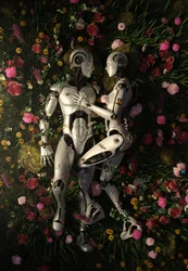 Android Garden Romance