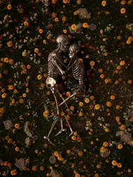 Skeletons In Love