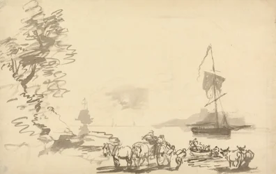 Shore Study
