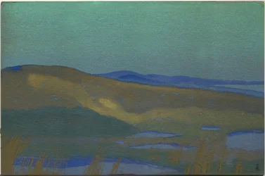 Swamps of Tsaidam