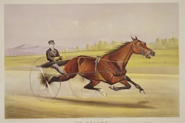 The King of the Turf, 