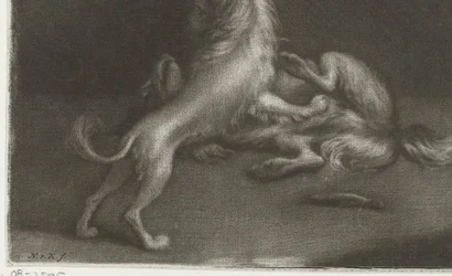 Two Playing Dogs
