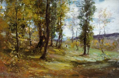 Forest Clearing