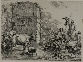 Cow Drinking
