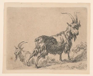 Two Goats, from Berchem
