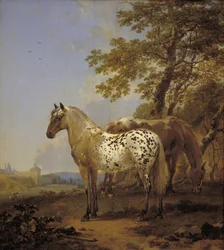 Two Horses in a Landscape