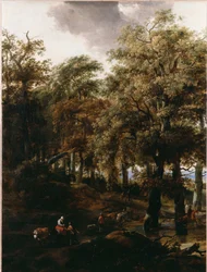 A Road through a Wood