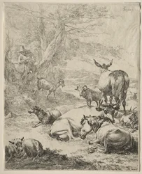 Animals in Repose