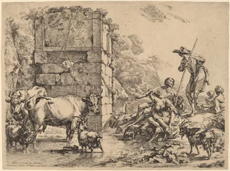 Cow Drinking