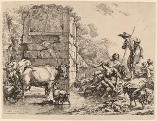 Cow Drinking