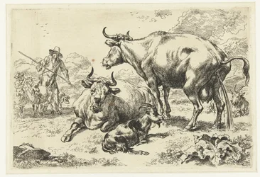 Lying and Pissing Cow