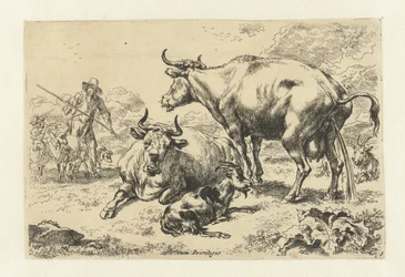 Lying and a Pissing Cow