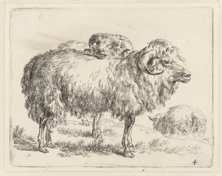 Two Rams and a Sheep