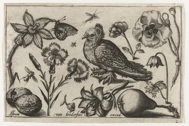 Flowers, a Pear, and a Dove (Birds, Flowers, Insects, etc.)