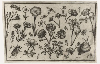 Flowers, a Fly, and a Snail